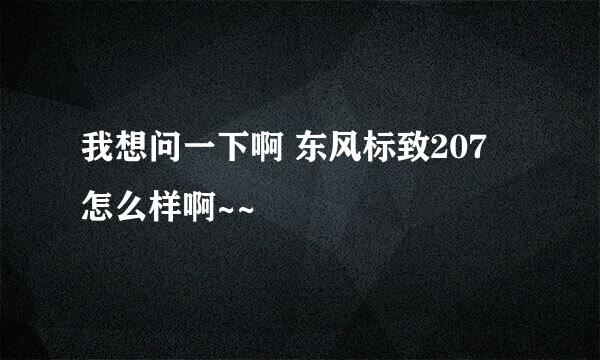 我想问一下啊 东风标致207 怎么样啊~~