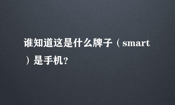 谁知道这是什么牌子（smart）是手机？