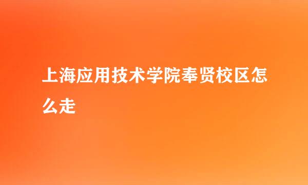 上海应用技术学院奉贤校区怎么走