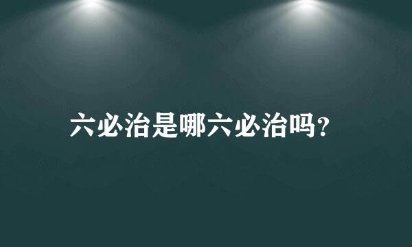 六必治是哪六必治吗？