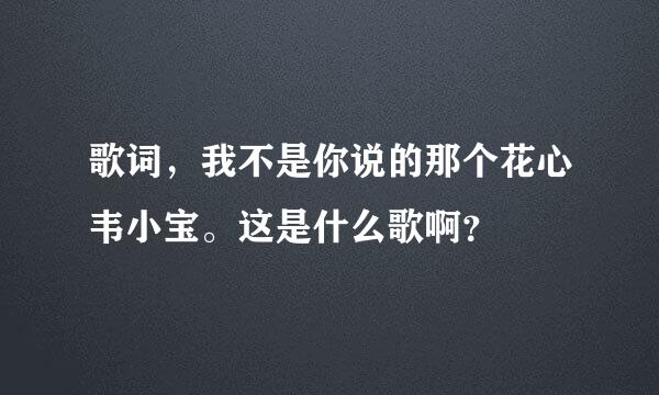 歌词，我不是你说的那个花心韦小宝。这是什么歌啊？