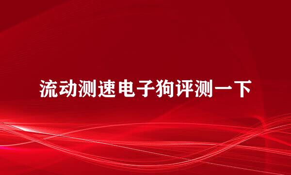 流动测速电子狗评测一下