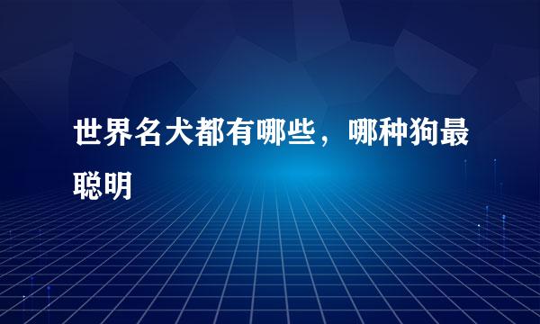 世界名犬都有哪些，哪种狗最聪明