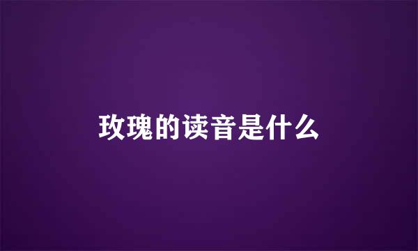 玫瑰的读音是什么