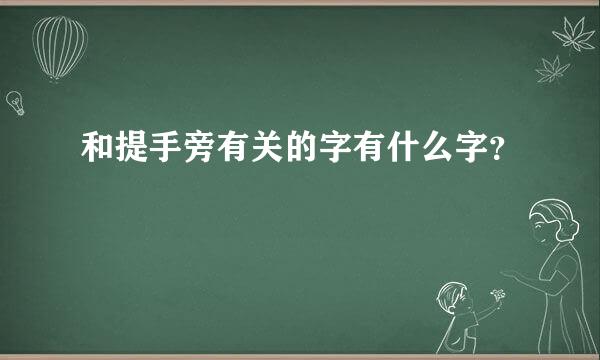 和提手旁有关的字有什么字？