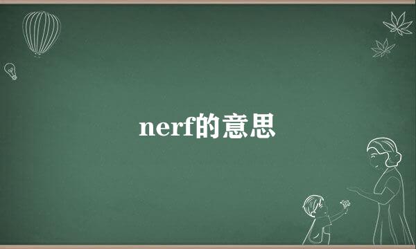 nerf的意思