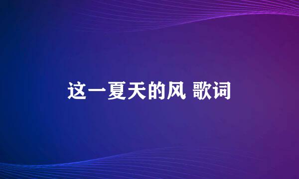 这一夏天的风 歌词