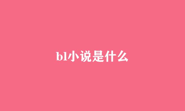 bl小说是什么