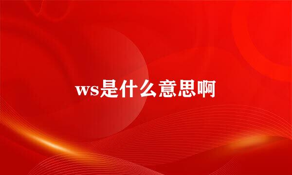 ws是什么意思啊