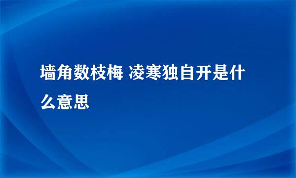 墙角数枝梅 凌寒独自开是什么意思