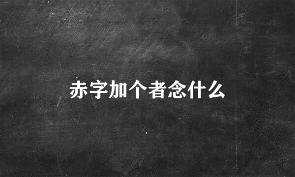 赤字加个者念什么