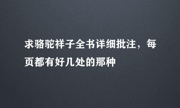 求骆驼祥子全书详细批注，每页都有好几处的那种