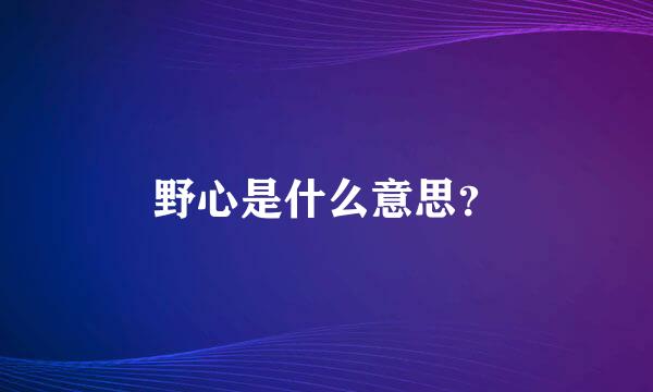 野心是什么意思？