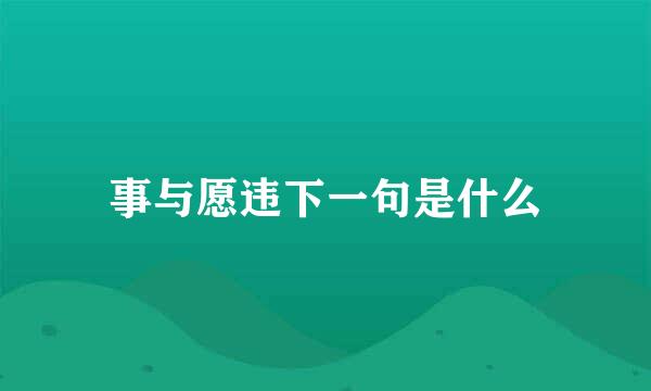 事与愿违下一句是什么