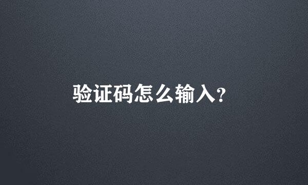 验证码怎么输入？