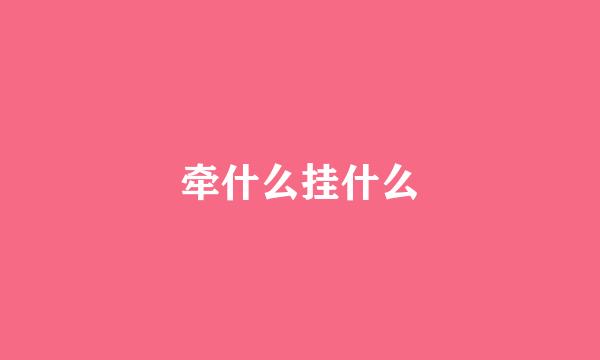 牵什么挂什么