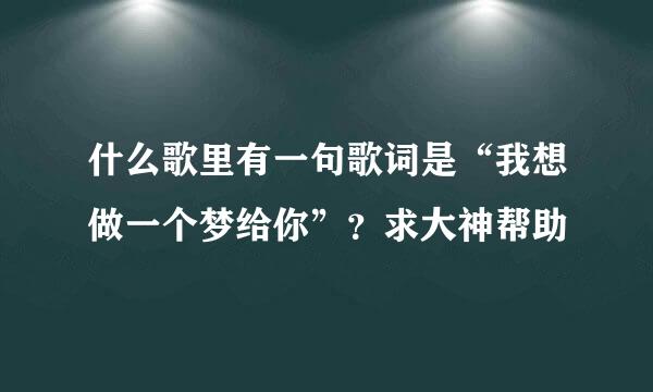 什么歌里有一句歌词是“我想做一个梦给你”？求大神帮助