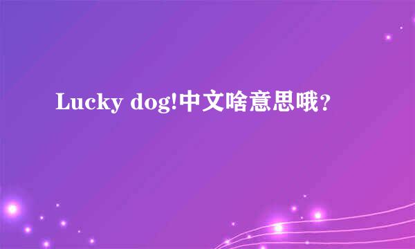 Lucky dog!中文啥意思哦？