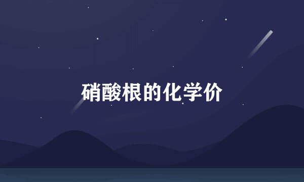 硝酸根的化学价