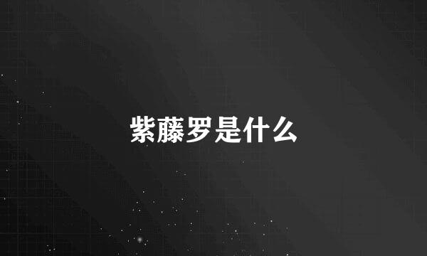 紫藤罗是什么