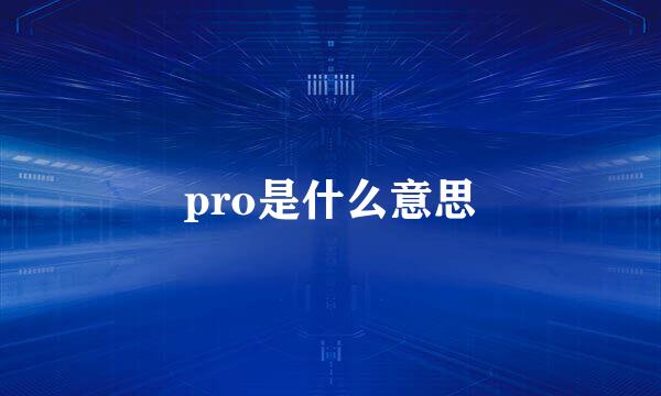 pro是什么意思