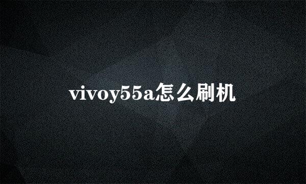 vivoy55a怎么刷机