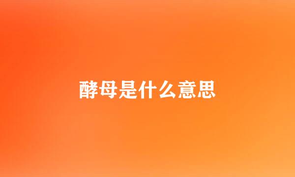 酵母是什么意思