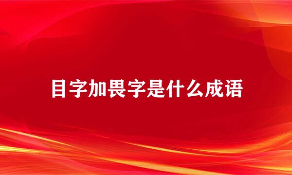 目字加畏字是什么成语