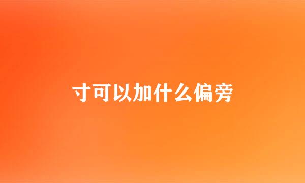 寸可以加什么偏旁