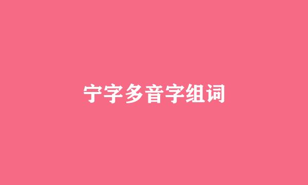 宁字多音字组词