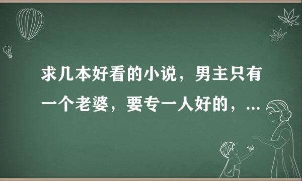 求几本好看的小说，男主只有一个老婆，要专一人好的，不要沾花惹草的3