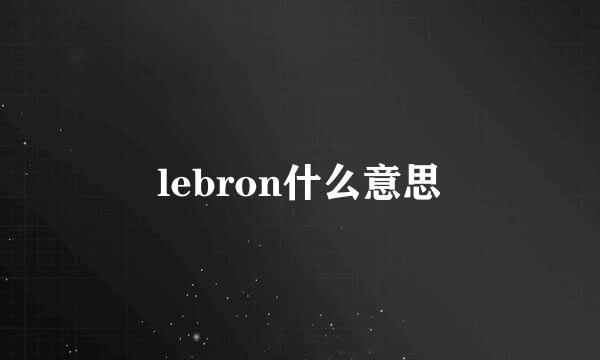 lebron什么意思