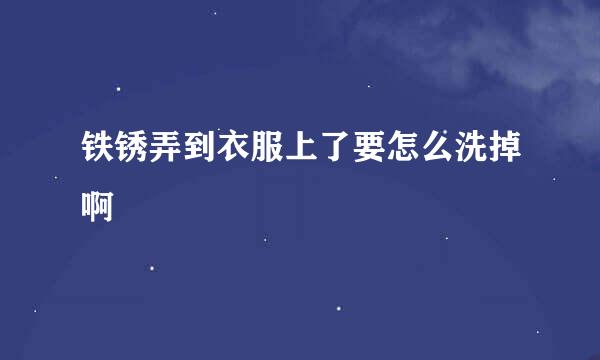 铁锈弄到衣服上了要怎么洗掉啊