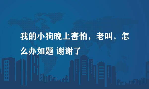 我的小狗晚上害怕，老叫，怎么办如题 谢谢了