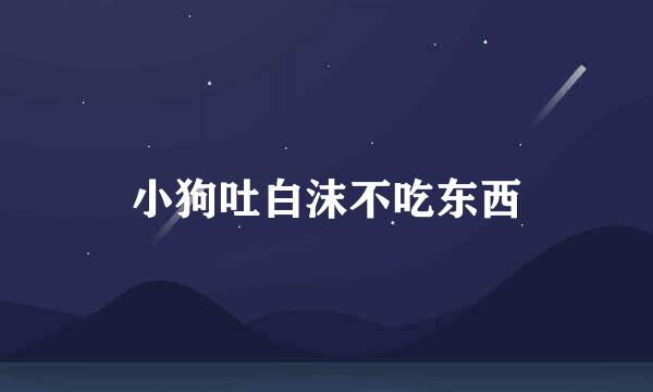 小狗吐白沫不吃东西