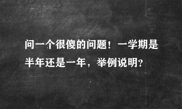 问一个很傻的问题！一学期是半年还是一年，举例说明？