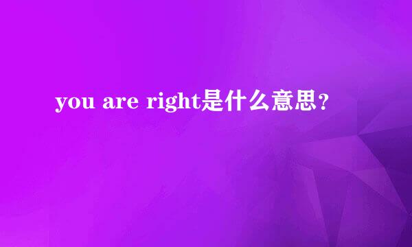 you are right是什么意思？