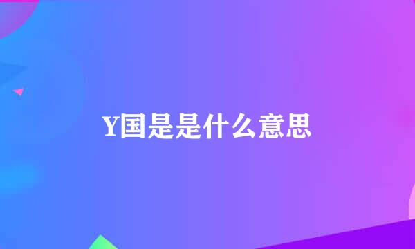 Y国是是什么意思