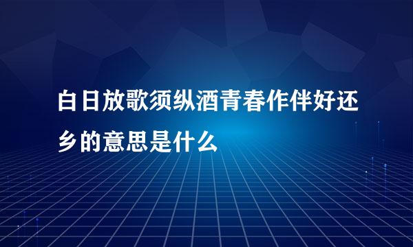 白日放歌须纵酒青春作伴好还乡的意思是什么