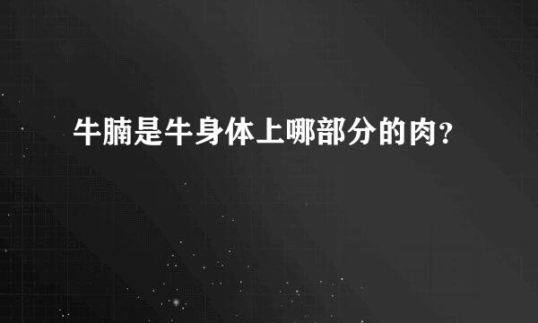 牛腩是牛身体上哪部分的肉？