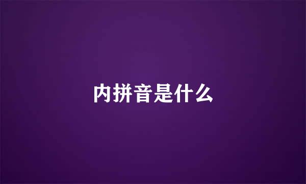 内拼音是什么