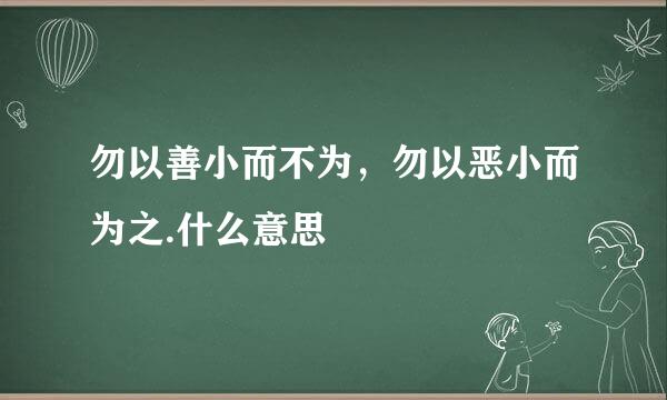 勿以善小而不为，勿以恶小而为之.什么意思