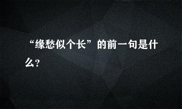 “缘愁似个长”的前一句是什么？