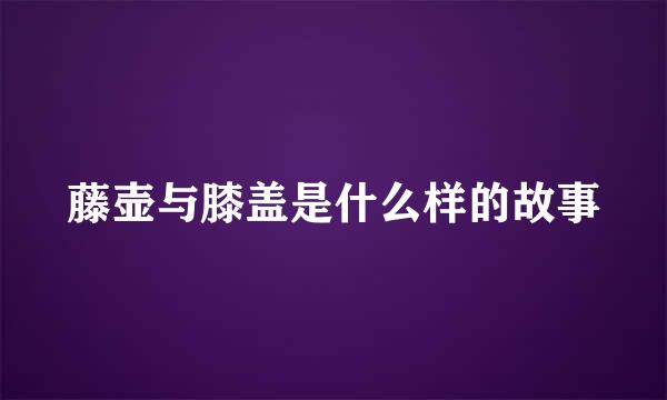 藤壶与膝盖是什么样的故事