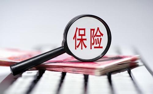 保组词，用保字怎么组词