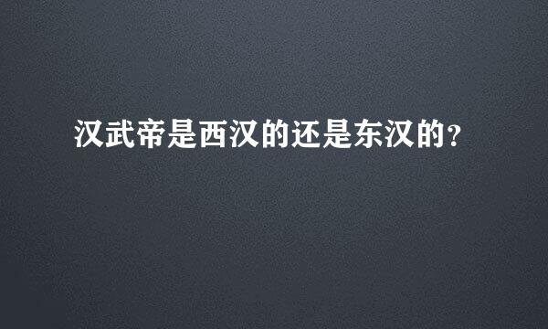 汉武帝是西汉的还是东汉的？