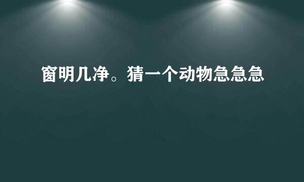 窗明几净。猜一个动物急急急