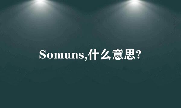 Somuns,什么意思?