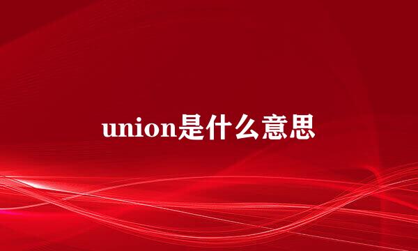 union是什么意思