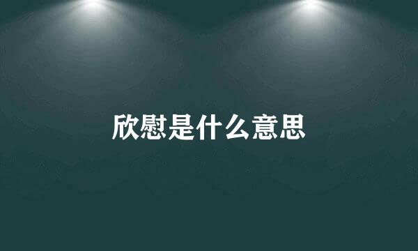 欣慰是什么意思